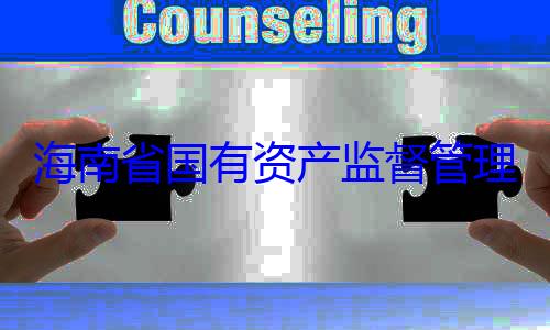 委副书记王资产监督管有福接受审海南省国有理委员会党查调查